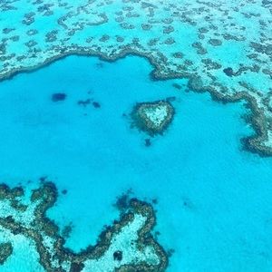 Meet your Posher, Yian